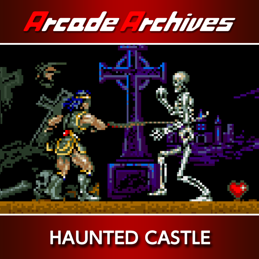 aca-f3wuykhv-nsw-en-1000x1000-1 Arcade Archives (ACA) : C'est 100% légal et c'est très bien !